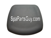 103415 Coleman Maax Spas Foam Filter Lid Pillow Gray PMS430