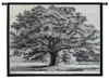 Bounds Park Oak by Jacob George Strutt | Woven Tapestry Wall Art Hanging | Magnificent Black and White Tree Artwork | 100% Cotton USA Size 53x42 Wall Tapestry