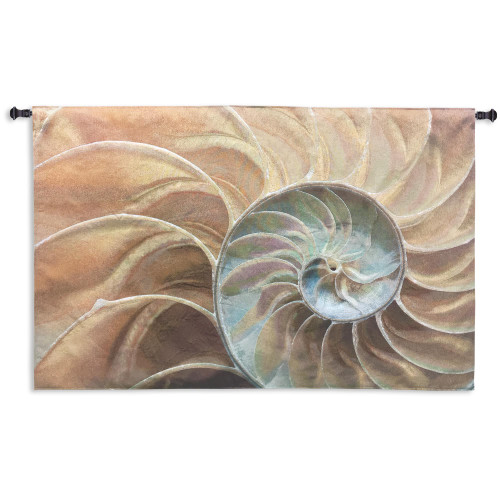Nautilus | Woven Tapestry Wall Art Hanging | Nautical Pair of Spiraling Shells | 100% Cotton USA Size 60x40 Wall Tapestry