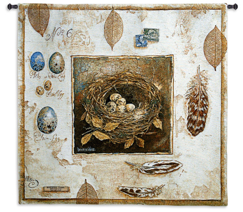 Nested No 6 | Woven Tapestry Wall Art Hanging | Vintage Bird Nest Egg Study | 100% Cotton USA Size 44x42 Wall Tapestry