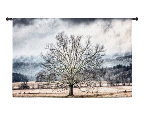January | Woven Tapestry Wall Art Hanging | Barren Winter Tree in Isolated Field | 100% Cotton USA Size 53x34 Wall Tapestry