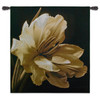Timeless Grace I by Charles Britt | Woven Tapestry Wall Art Hanging | Photorealistic White Flower Photograph on Black | 100% Cotton USA Size 53x45 Wall Tapestry