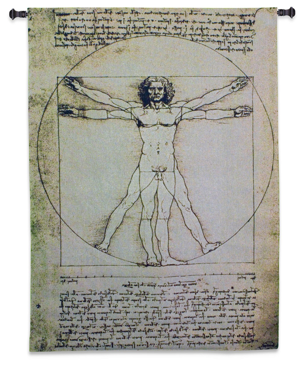 Vitruvian Man (L'Uomo Vitruviano) by Leonardo da Vinci | Woven