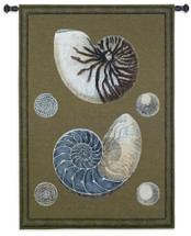 Nautilus | Woven Tapestry Wall Art Hanging | Nautical Pair of Spiraling Shells | 100% Cotton USA Size 53x36 Wall Tapestry