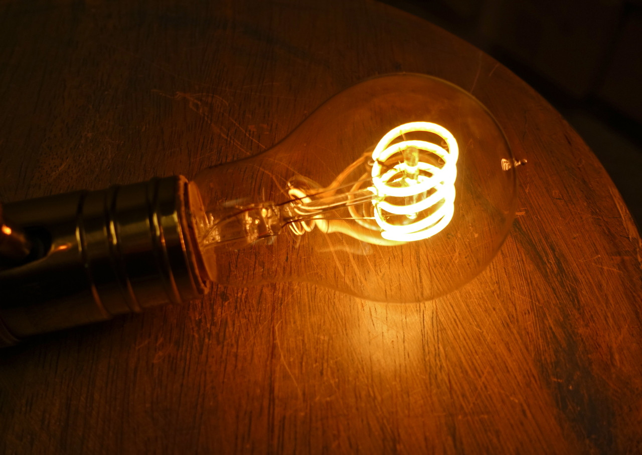 ANTIQUE LOOP CURVED FILAMENT- Vintage Style LED Edison Bulb A19 4W 