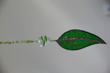 Frog on a Leaf SunCatcher with Peridot