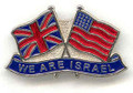 We Are Israel pin