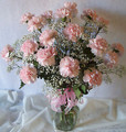 18 Carnation Bouquet