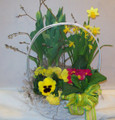 Medium Blooming Basket