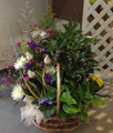 Plant and Flower Basket