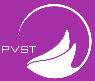 banner-50.png