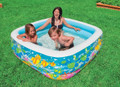 Intex Clearview Aquarium Pool