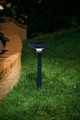 Intex Lawn Brite Solar LED Landscape Light