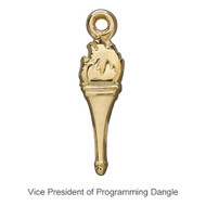 Vice President Programming