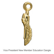 Vice President New Member Education