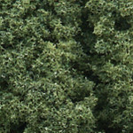 Woodland Scenics - Foliage Clusters- Medium Green