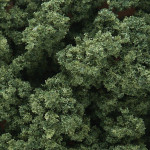 Woodland Scenics - Bushes Clump- Foliage Medium Green