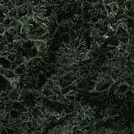 Woodland Scenics - Lichen- Dark Green