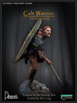 DG Artwork - Celt Warrior, 1st c. AD