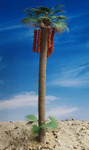 Reality in Scale - Desert Fan Palm