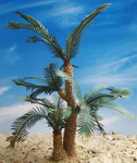Reality in Scale - Cycad Palm Tree