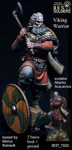 Best Soldiers - Viking Warrior
