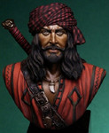 Best Soldiers - The Pirate Bust
