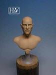 Heroes & Villains Miniatures - Male Anatomic Bust