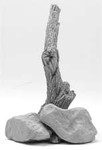 Armand Bayardi - Dead Tree, Forked with Rocks - short