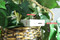 Self Recording Hidden Cameras in Artificial Flower pot