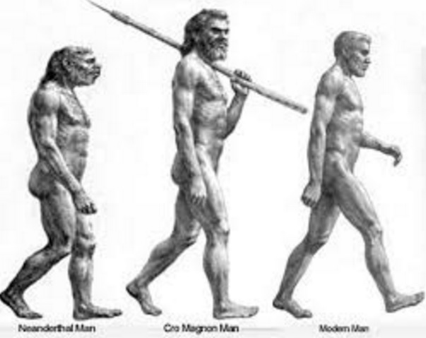 Cro Magnons Early Modern Humans Ora Band