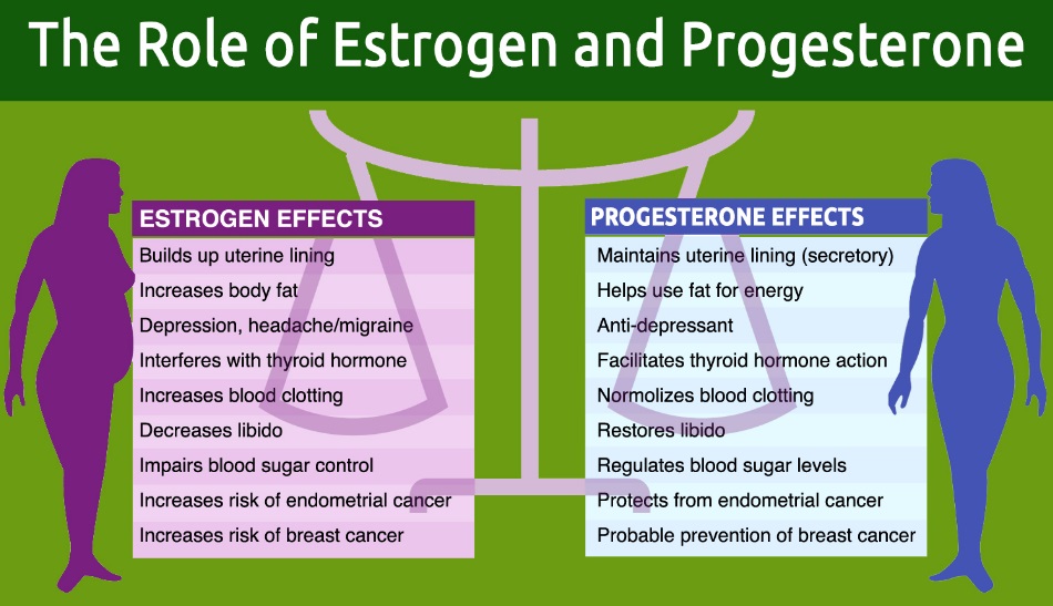 12 Tips To Balance Estrogen Levels Naturally.