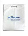 Rayne Home Show Bag