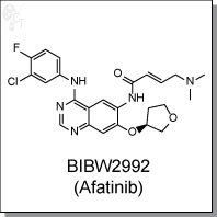 BIBW2992 (Afatinib).jpg