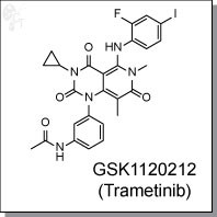 GSK1120212 (Trametinib) | MEK1/2 Inhibitor - Cellagen Technology