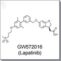GW572016 (Lapatinib).jpg