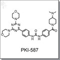 PKI-587.jpg
