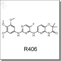 R406.jpg