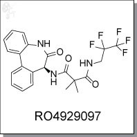 RO4929097.jpg