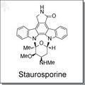 Staurosporine.jpg
