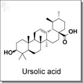 Ursolic acid.jpg