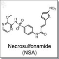 Necrosulfonamide (NSA).jpg
