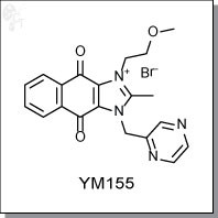 YM155.jpg