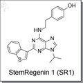 StemRegenin1 (SR1).jpg