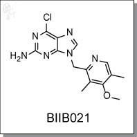 BIIB021 (CNF2024).jpg