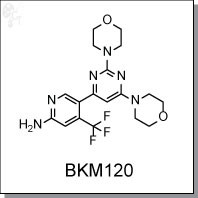 NVP-BKM120.jpg