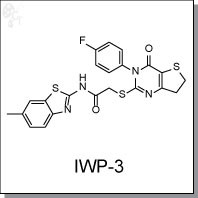 IWP-3.jpg