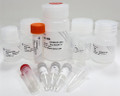 FastPure Microbiome DNA Isolation Kit DC502-01 