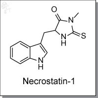 Necrostatin-1.jpg