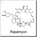 Rapamycin.jpg